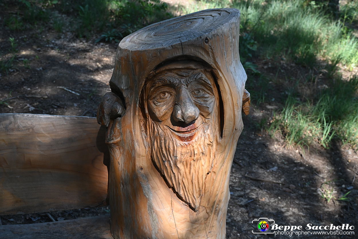 VBS_4737 - Il bosco fatato - Montaldo Roero.jpg